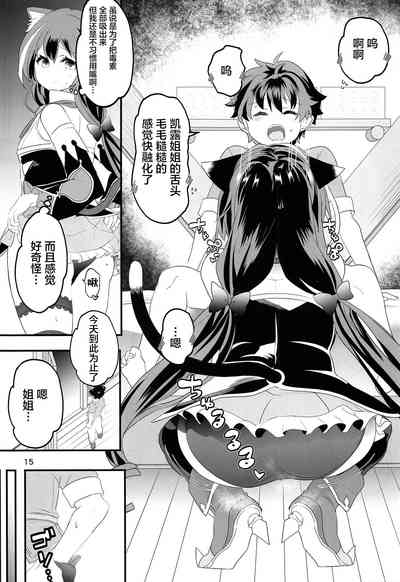 第14页图