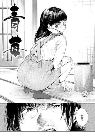 第146頁圖
