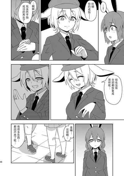 第46頁圖