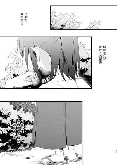 第38页图