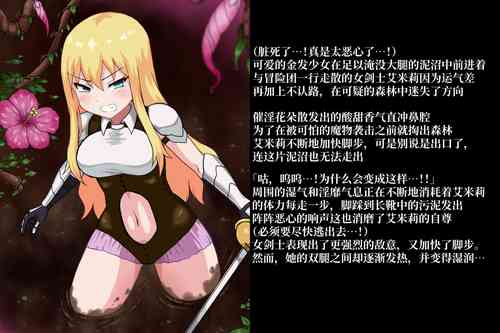 女剣士は あやしいもり に迷ってしまった。II 封面 - HaSM.cc