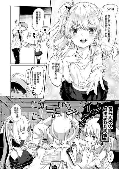 第214頁圖