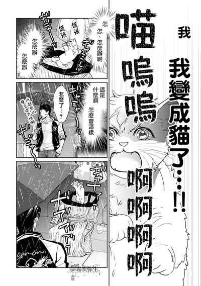 第14页图