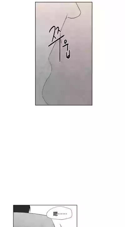 第286頁圖