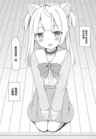 第2页图
