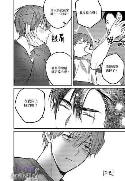 第222頁圖