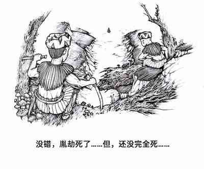 第46頁圖