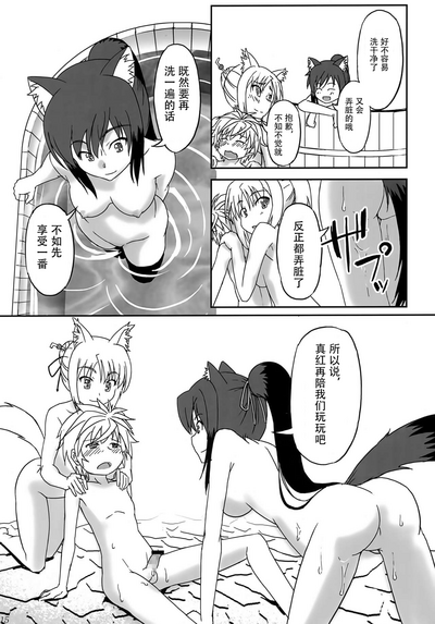第14页图