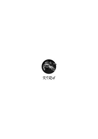 第6页图