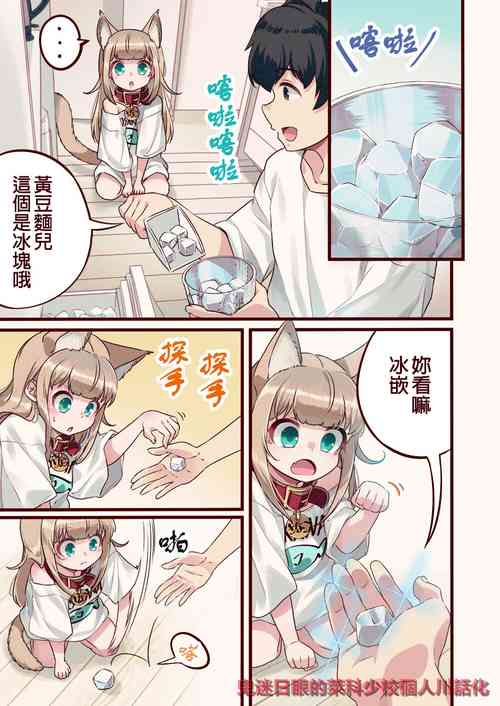 我家的貓貓是乖女娃子 7圖