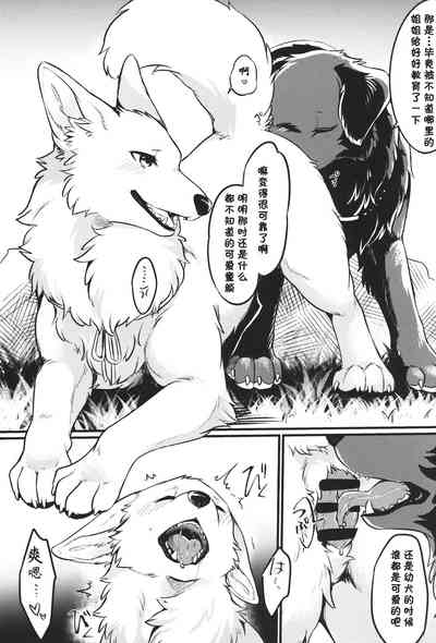 第14页图
