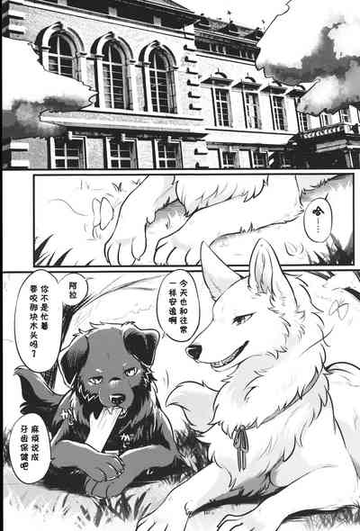 第2页图