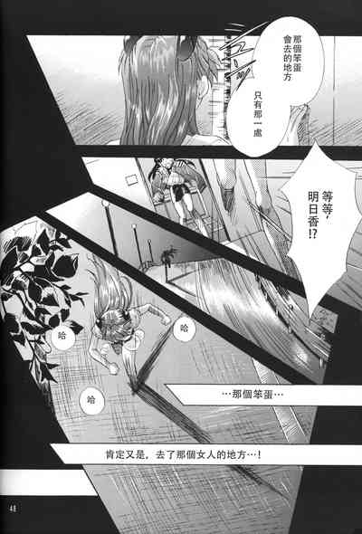 第46頁圖
