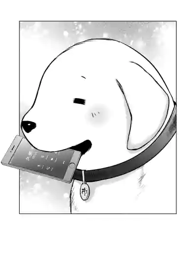 第102頁圖