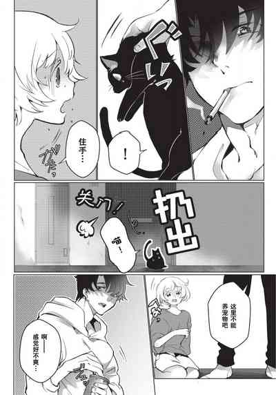 第86頁圖