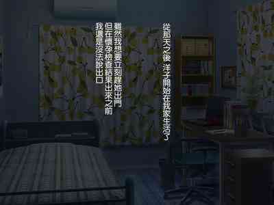 第102頁圖