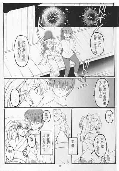 第14页图