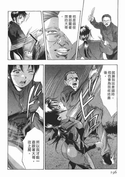 第194頁圖