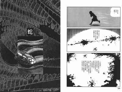 第102頁圖