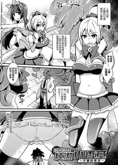 第222頁圖