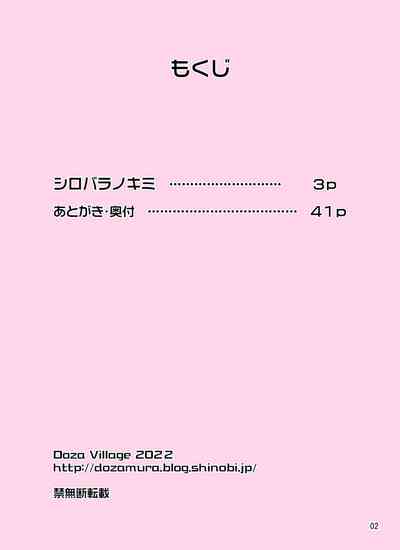 第2页图