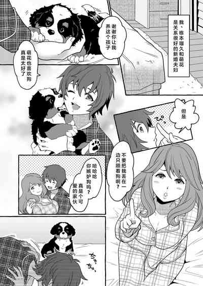 第2页图