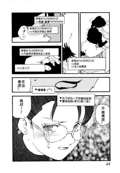 第42頁圖