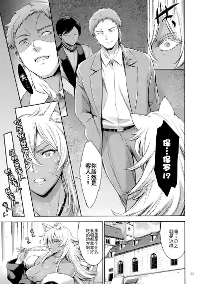 第22页图