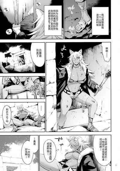 第2页图