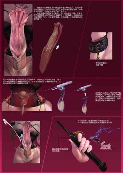 第6页图