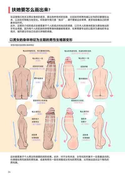 第34頁圖