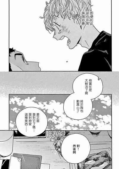 第294頁圖
