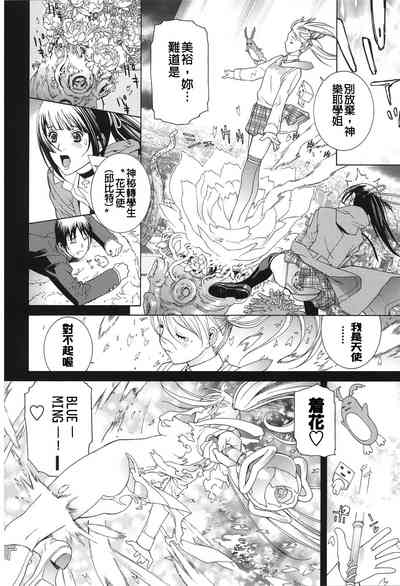 第146頁圖