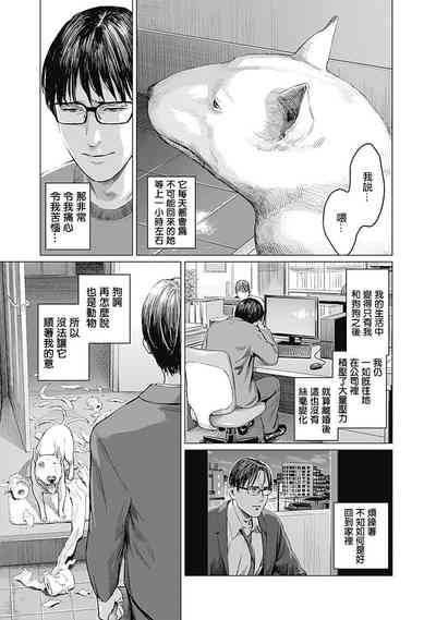 第178頁圖