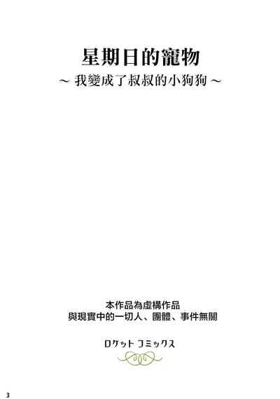 第2頁圖