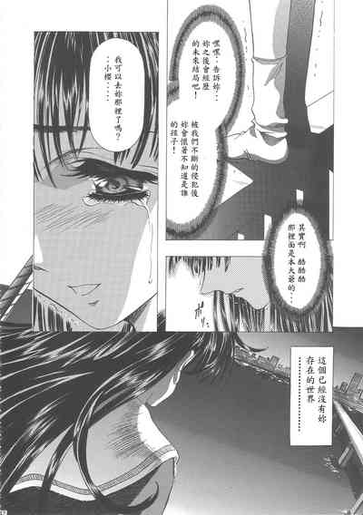 第146頁圖