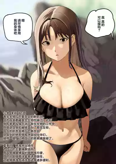 第42頁圖