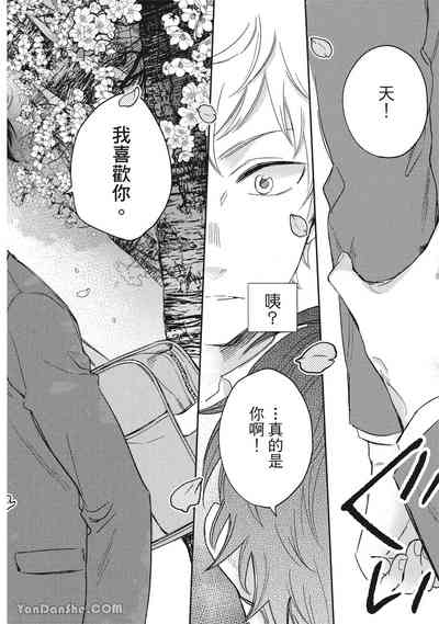 第38頁圖