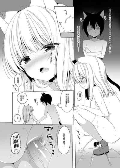 第146頁圖