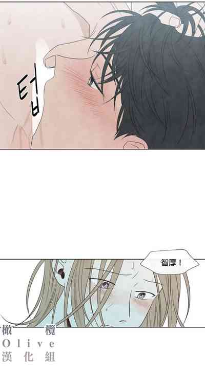 第290頁圖