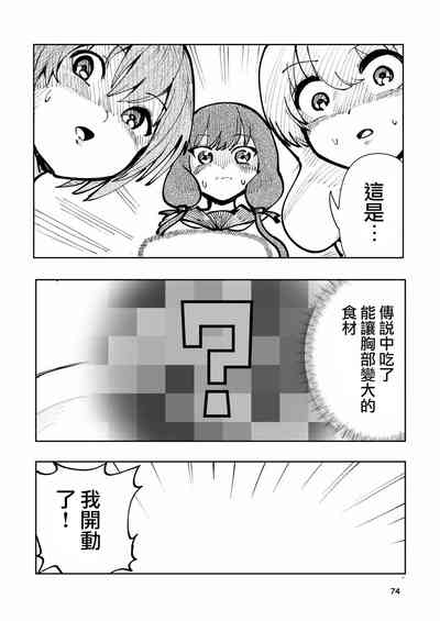 第74頁圖