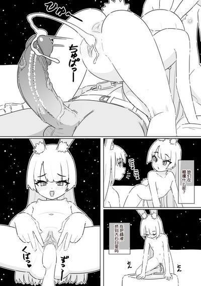 第14页图