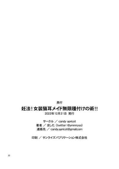 第22頁圖