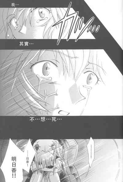 第238頁圖