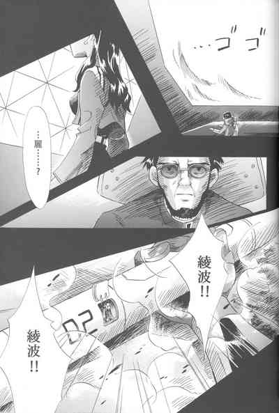第242頁圖