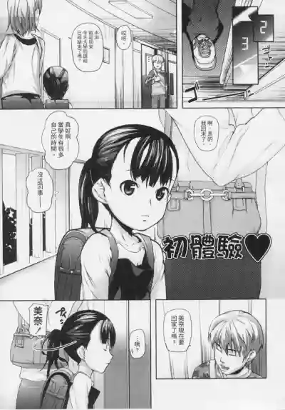 第102頁圖