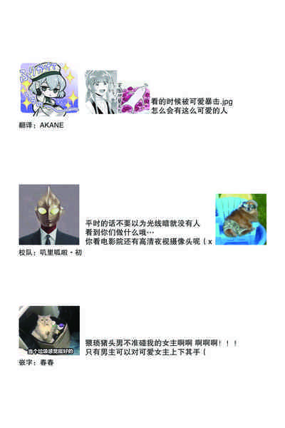 第146頁圖