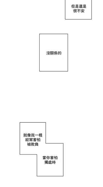 第294頁圖