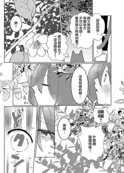 第10页图