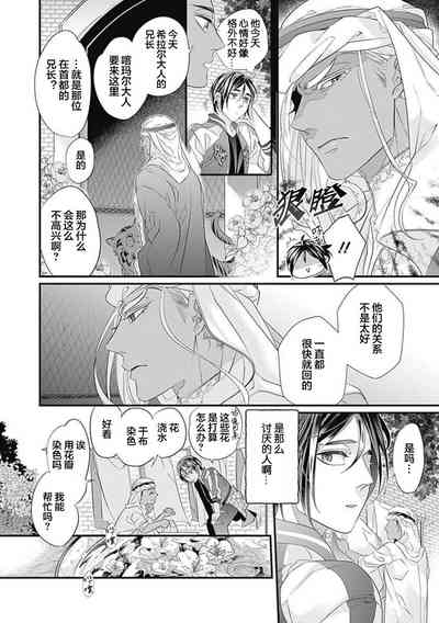 第42頁圖